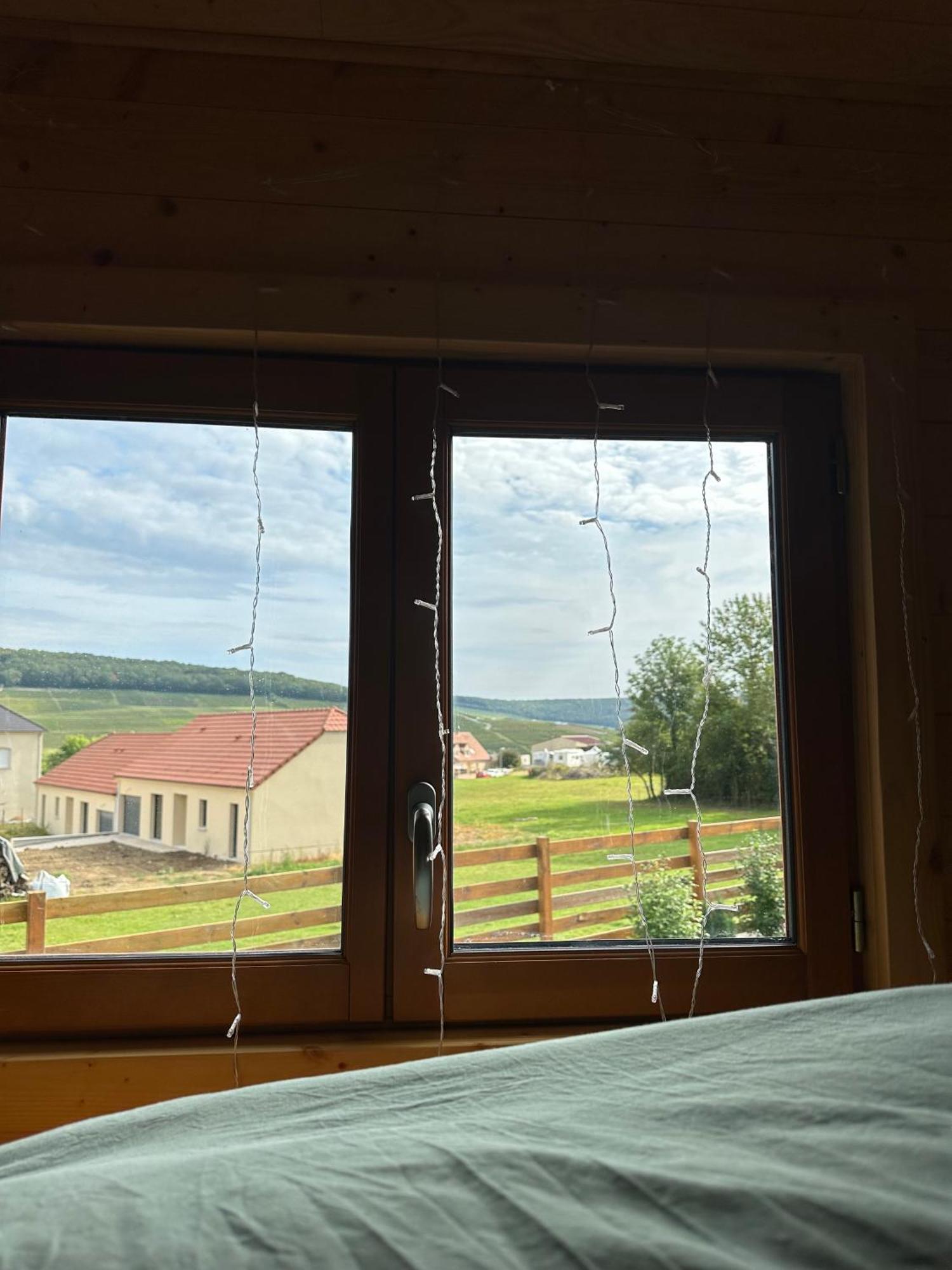 Vila Chez Celia, Roulotte En Champagne Fleury-la-Riviere Exteriér fotografie