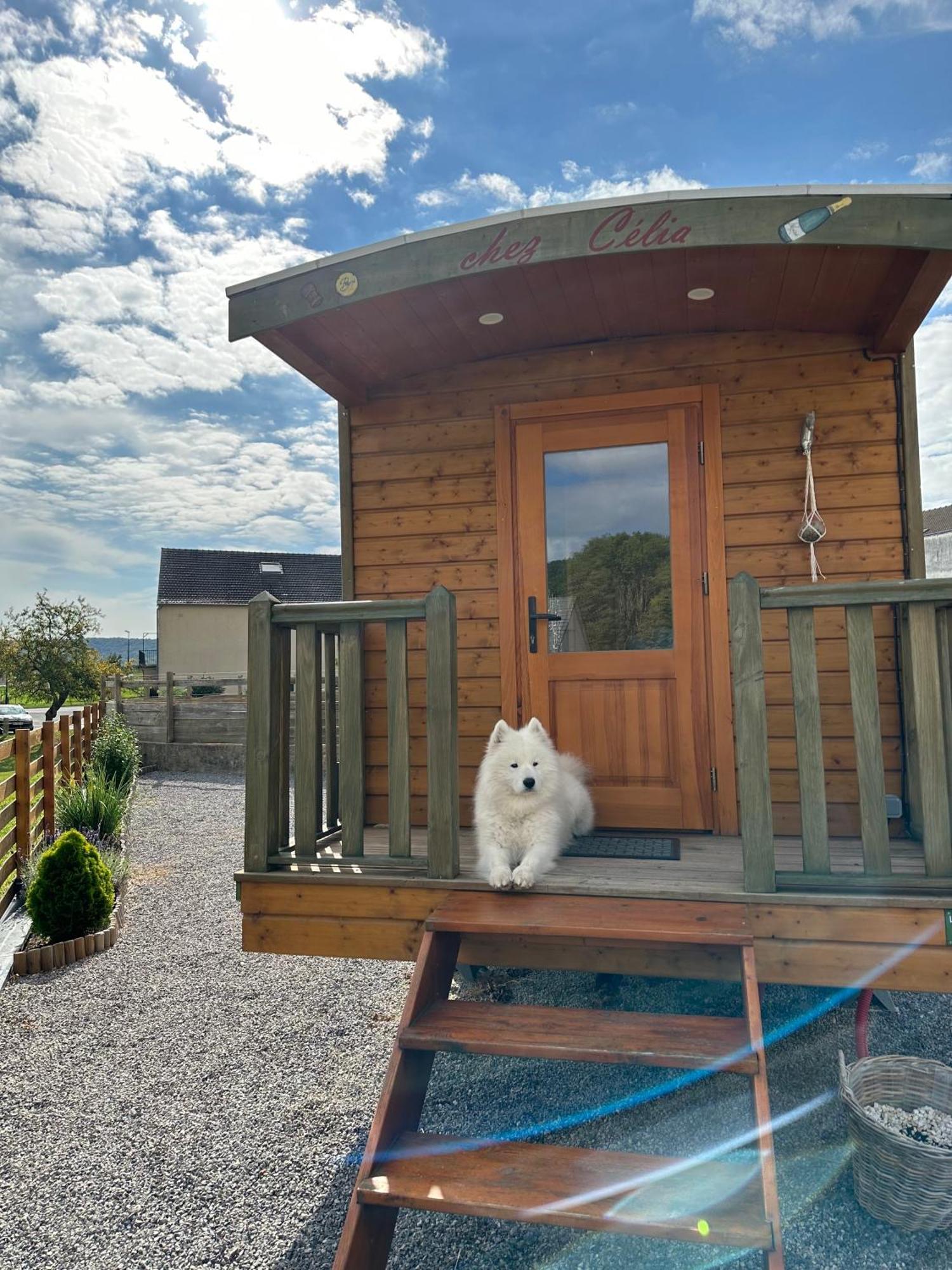 Vila Chez Celia, Roulotte En Champagne Fleury-la-Riviere Exteriér fotografie